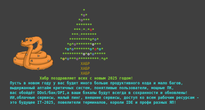 Хабр поздравляет всех с наступающим 2025 годом